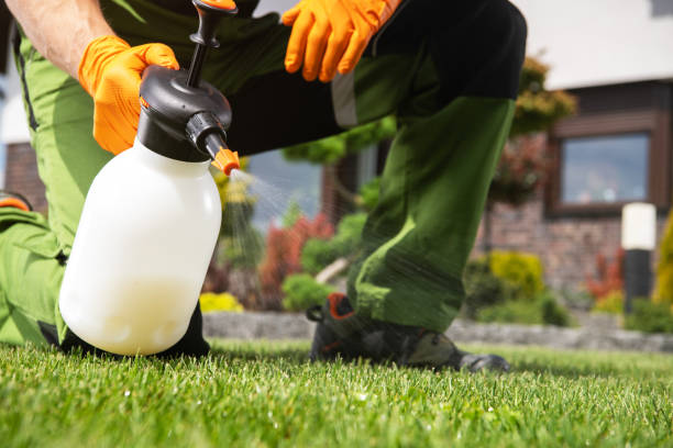 Best Pest Control Treatment  in Bridgetown, MS