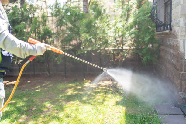 Best Pest Removal Services  in Bridgetown, MS