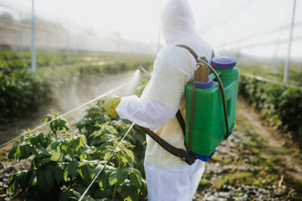 Best Emergency Pest Control  in Bridgetown, MS